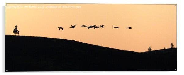 Geese flying over the hill at dusk  Acrylic by Phil Banks