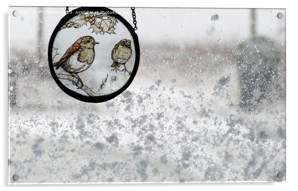 Robin Roundel on a snowy window Acrylic by Phil Banks