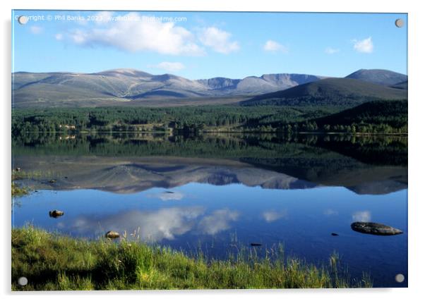 Summer Reflections - Loch Morlich - Cairngorm Moun Acrylic by Phil Banks