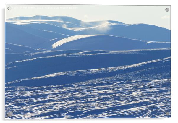Snow wilderness in the Cairngorms Acrylic by Phil Banks