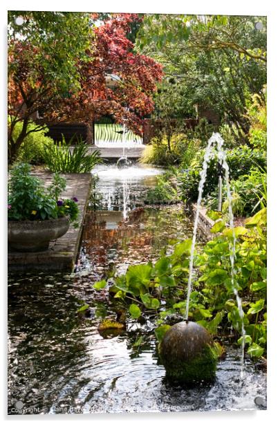 Water Garden in Bury St Edmunds Acrylic by Elaine Hayward