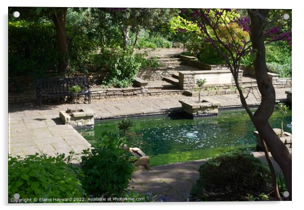 The Imola Garden in Castle Park, Colchester Acrylic by Elaine Hayward