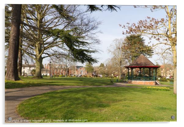 Halstead Public Gardens in Essex Acrylic by Elaine Hayward