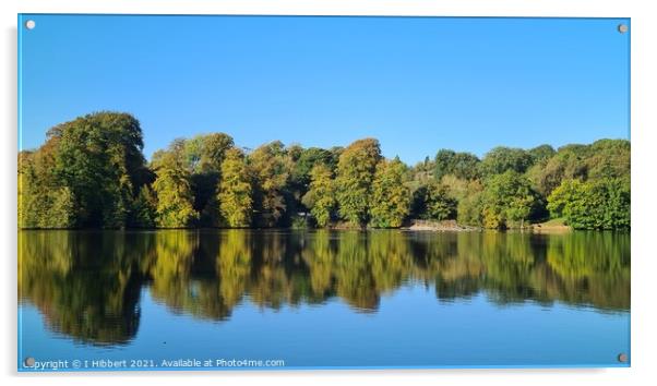 Autumn Reflection Acrylic by I Hibbert
