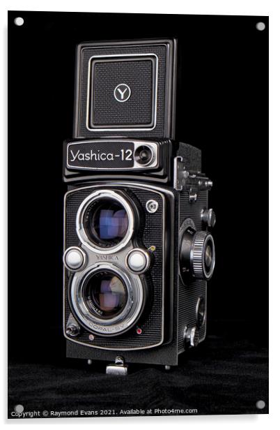 Yashica 12 TLR Acrylic by Raymond Evans