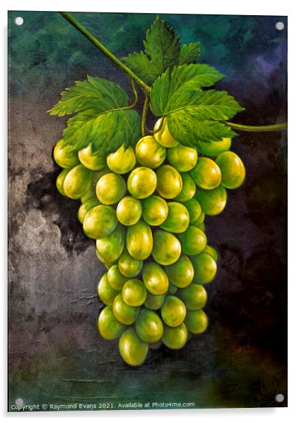 Green grapes Acrylic by Raymond Evans