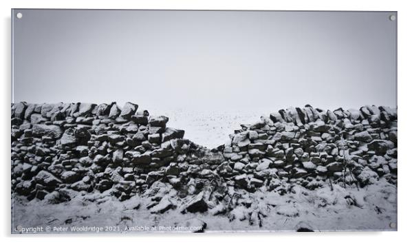 The Frozen Wall Acrylic by Peter Wooldridge
