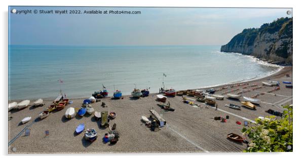 Beer Beach, South Devon Acrylic by Stuart Wyatt