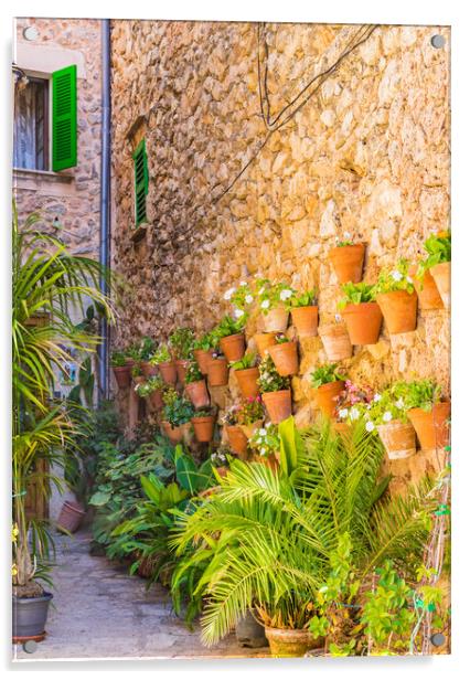 Charming Flower Pots in Valledemossa Acrylic by Alex Winter