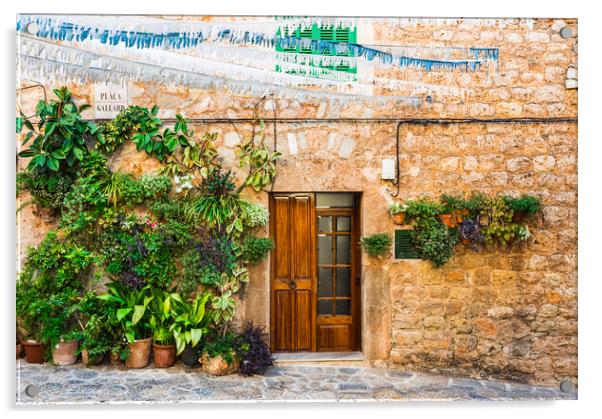 Potted plant, Rustic Charm in Valldemossa Acrylic by Alex Winter