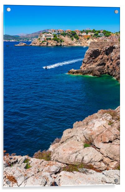 Costa de la Calma Majorca Acrylic by Alex Winter