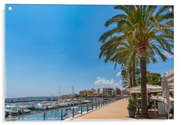 Port in Cala Bona on Mallorca island Spain Acrylic by Alex Winter
