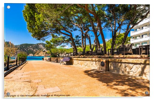 Tourist resort of Camp de Mar Acrylic by Alex Winter