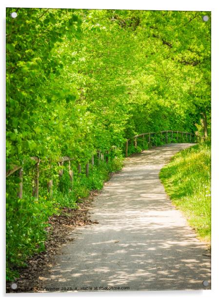 Empty pathway along park trees  Acrylic by Alex Winter