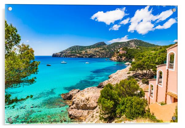 Idyllic sea view on Majorca Camp de Mar Acrylic by Alex Winter