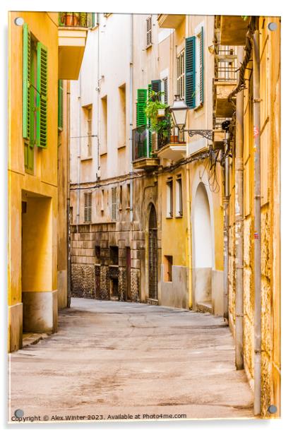 Narrow street at the old town of Palma de Mallorca Acrylic by Alex Winter