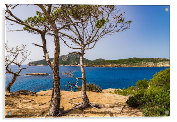 Spain Majorca, beautiful scenery in Sant Elm Acrylic by Alex Winter