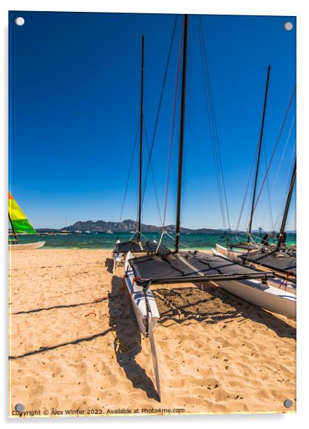 View of catamaran sailing boat at coast of sand be Acrylic by Alex Winter