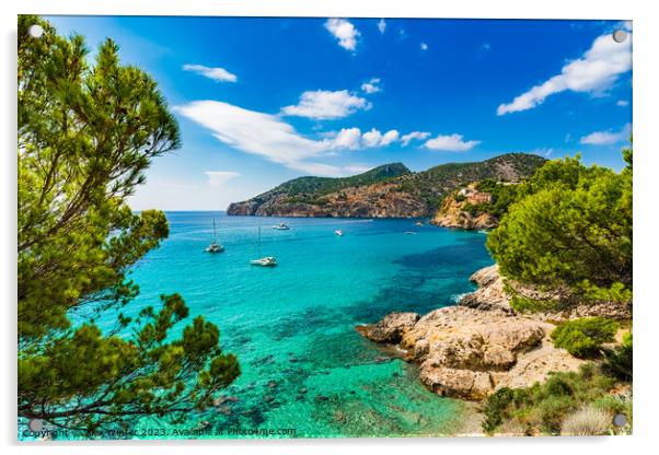 Majorca, Camp de Mar Acrylic by Alex Winter