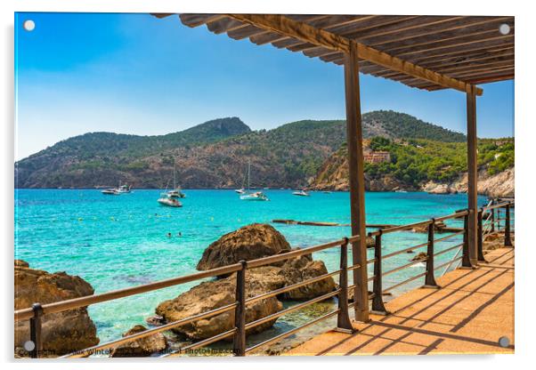 Mallorca island Camp de Mar  Acrylic by Alex Winter