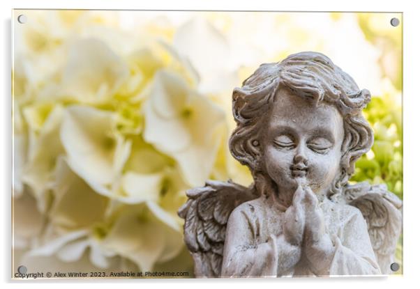 Praying angel Acrylic by Alex Winter