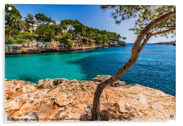 Island scenery on Mallorca Acrylic by Alex Winter