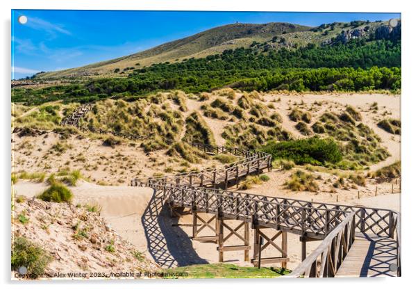 Wooden footbridge over sand dunes on Majorca Acrylic by Alex Winter