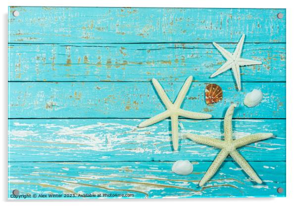 Summer decoration with starfish and seashell Acrylic by Alex Winter