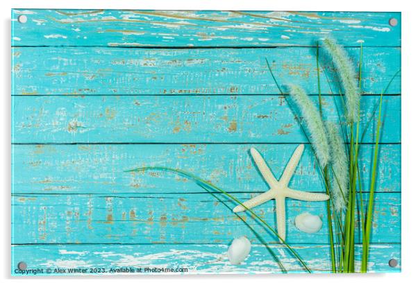 Starfish and reed decoration Acrylic by Alex Winter