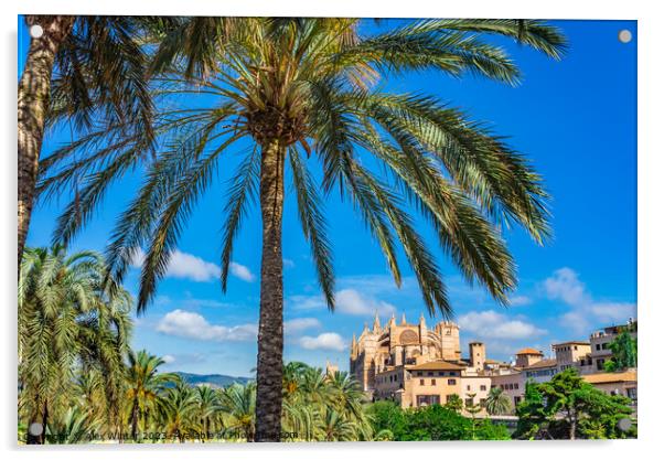 Palma Cathedral majorca Acrylic by Alex Winter