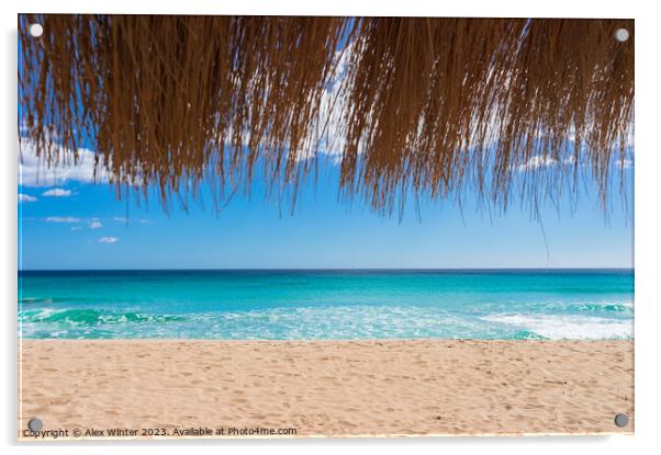 Beautiful sand beach sun, blue sky and straw umbre Acrylic by Alex Winter