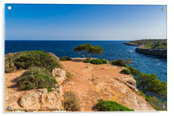 Coastline on Mallorca Acrylic by Alex Winter