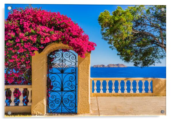 Bougainvillea sea view at the coast of Majorca Acrylic by Alex Winter