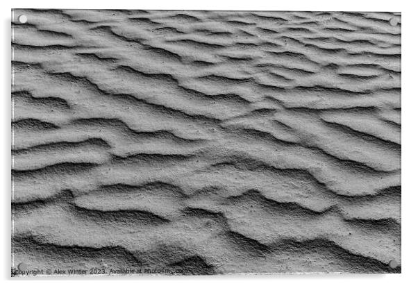 Close-up of sand dune background texture Acrylic by Alex Winter