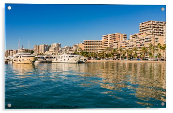 Palma mallorca harbour  Acrylic by Alex Winter