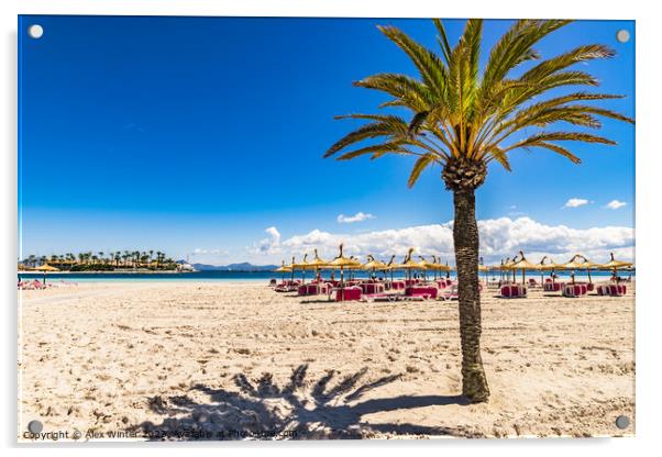 Alcudia beach Acrylic by Alex Winter