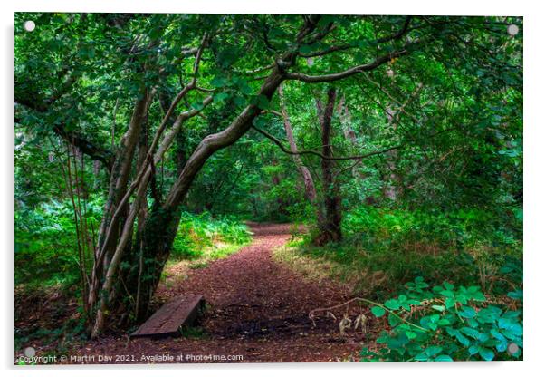Enchanted Woodland Path: A Walk Through Ancient Wo Acrylic by Martin Day