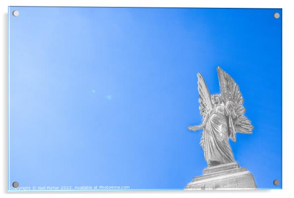 Angel in White Acrylic by Neil Porter