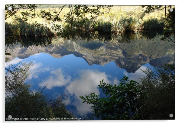 Mirror lake New Zealand  Acrylic by Ann Mechan