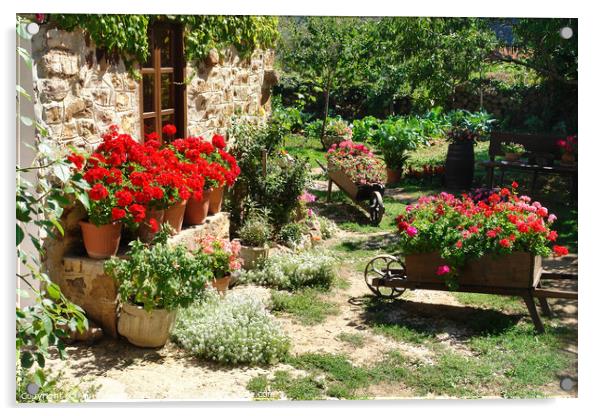Garden in the Cevennes, France Acrylic by Ann Mechan