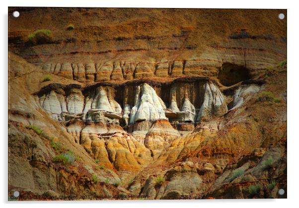 Hoodoos Desert Hills Drumheller Alberta Canada Acrylic by PAULINE Crawford