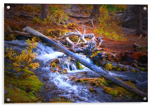 Bubbling Brook in Fall Colors Moss Red Orange Yellow Leaves Tree Stumps Forest Woods  Acrylic by PAULINE Crawford