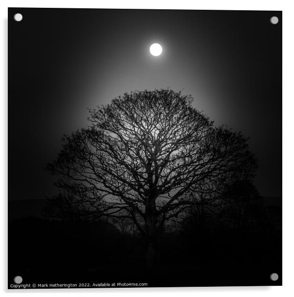 Full moon  Acrylic by Mark Hetherington