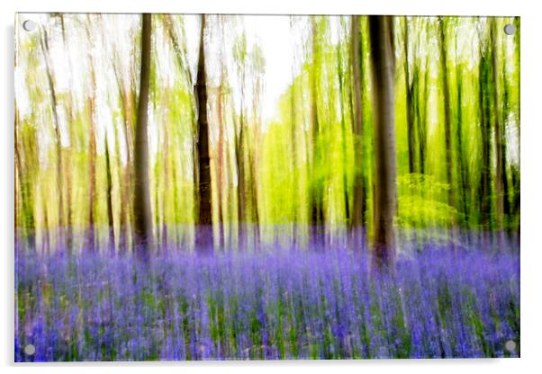 Bluebell Abstract Acrylic by Picture Wizard