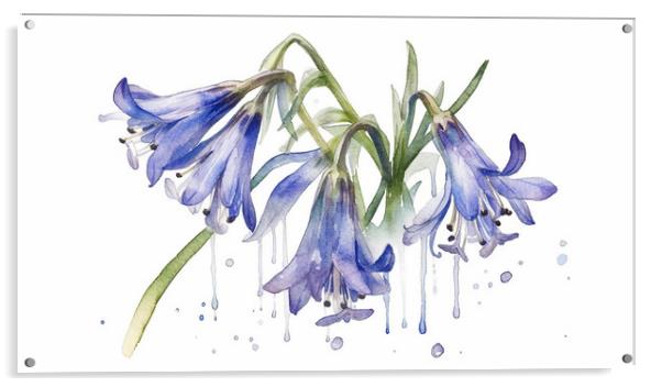 Bluebells Acrylic by Picture Wizard
