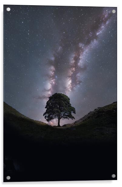 Sycamore Gap Milky Way Acrylic by Picture Wizard