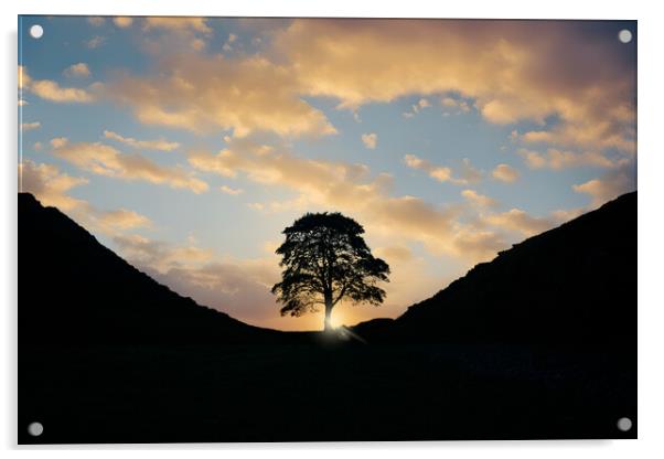 Sycamore Gap Sunrise Acrylic by Picture Wizard