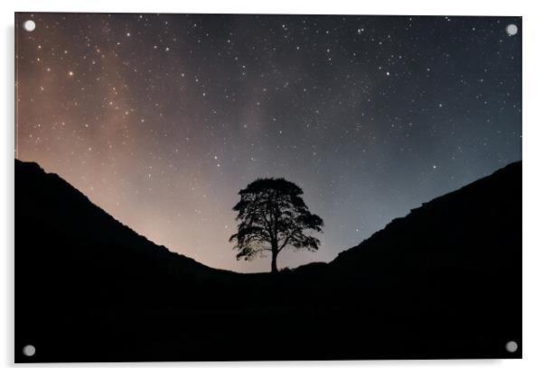 Sycamore Gap Acrylic by Picture Wizard