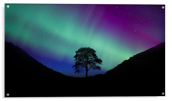 Sycamore Gap Aurora Acrylic by Picture Wizard