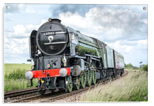 Steam train Tornado in Northumberland Acrylic by Lee Kershaw